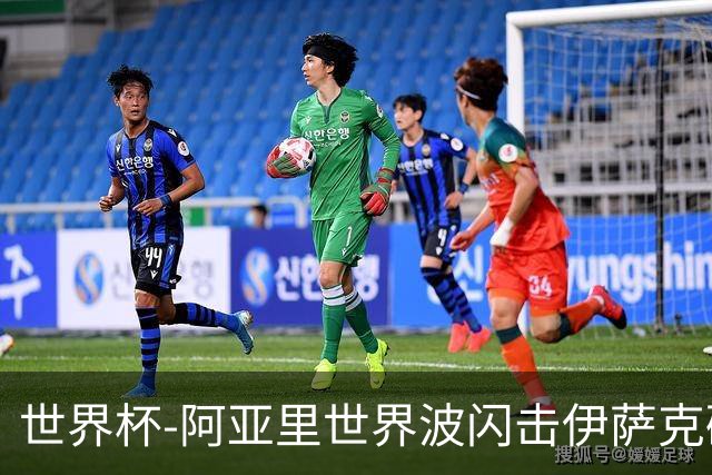 世界杯-阿亚里世界波闪击伊萨克破门 半场瑞典2-1突尼斯